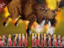 Blazin Buffalo