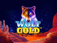 Wolf Gold